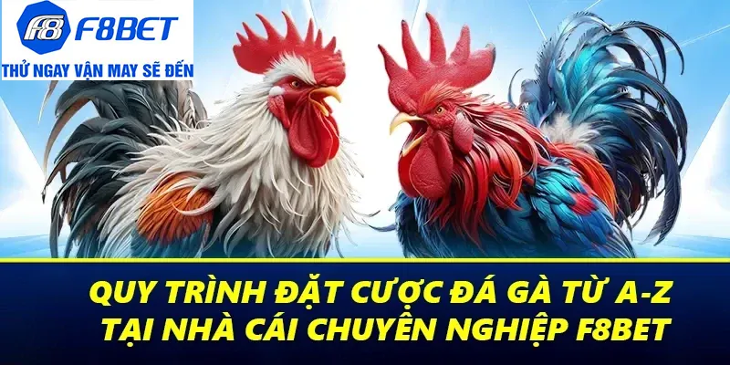 hướng dẫn tham gia đá gà f8bet